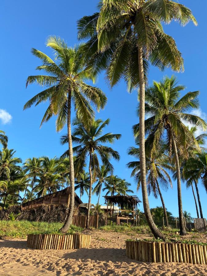 Bahia Surf Camp Hotel Abrantes Exterior foto